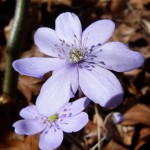 naturschutz